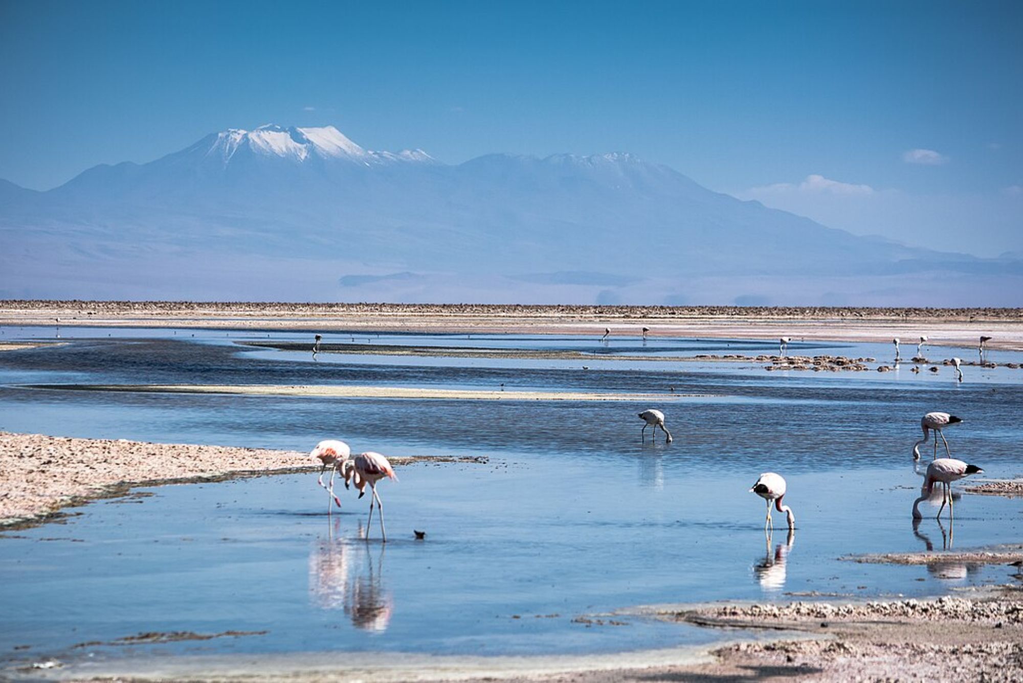 laguna chaxa y valle de jere