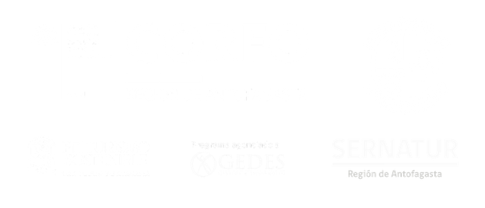 logo footer sanpedrodeatacama.travel(1)